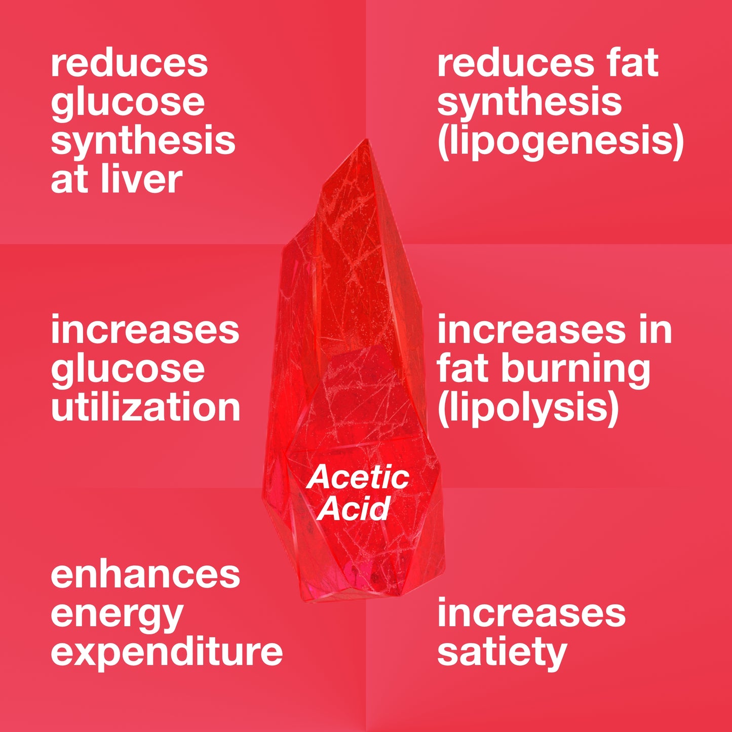 APPLE CIDER VINEGAR CAPSULES | 650mg | 60 Veg Capsules