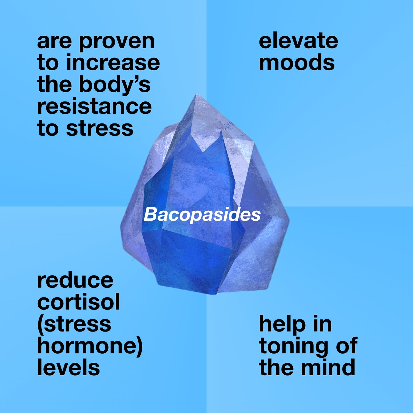 BRAHMI EXTRACT CAPSULES | 650mg | 60 Veg Capsules