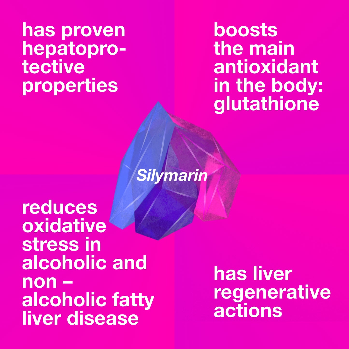 MILK THISTLE CAPSULES | 650mg | 60 Veg Capsules